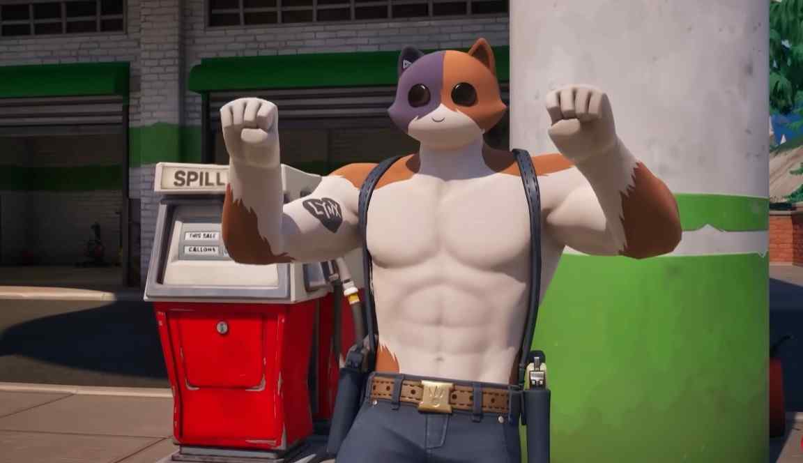 Ranking av de bästa Meowscles-skinnen i Fortnite - Old Games